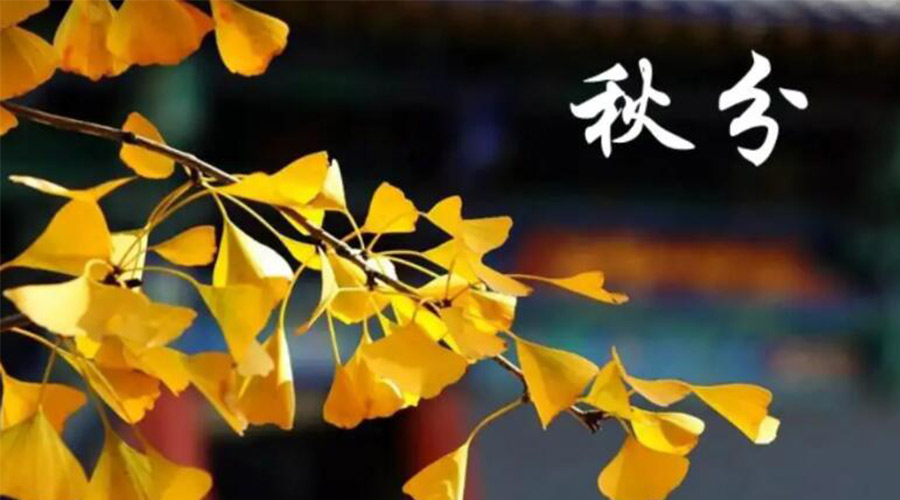 秋分時節！金環電器提醒大家要注意的事項